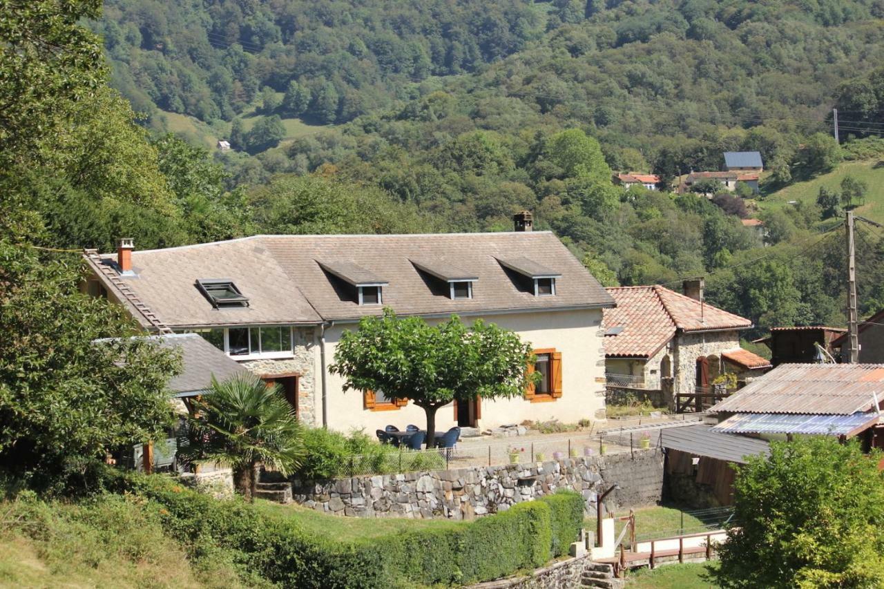 Maison Du Coue Pyrenees Mourtis Gite Pour 2 A 12 Pers Sengouagnet المظهر الخارجي الصورة